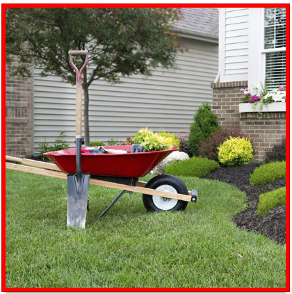 Forever Green Landscaping 